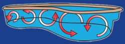 Tropical Island Pools - In-Floor Cleaning Systems