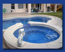 Tropical Island Pools - Maintenance Services